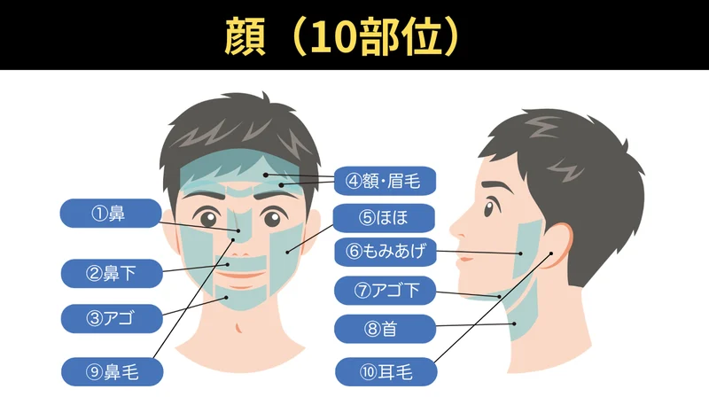 顔（10部位）